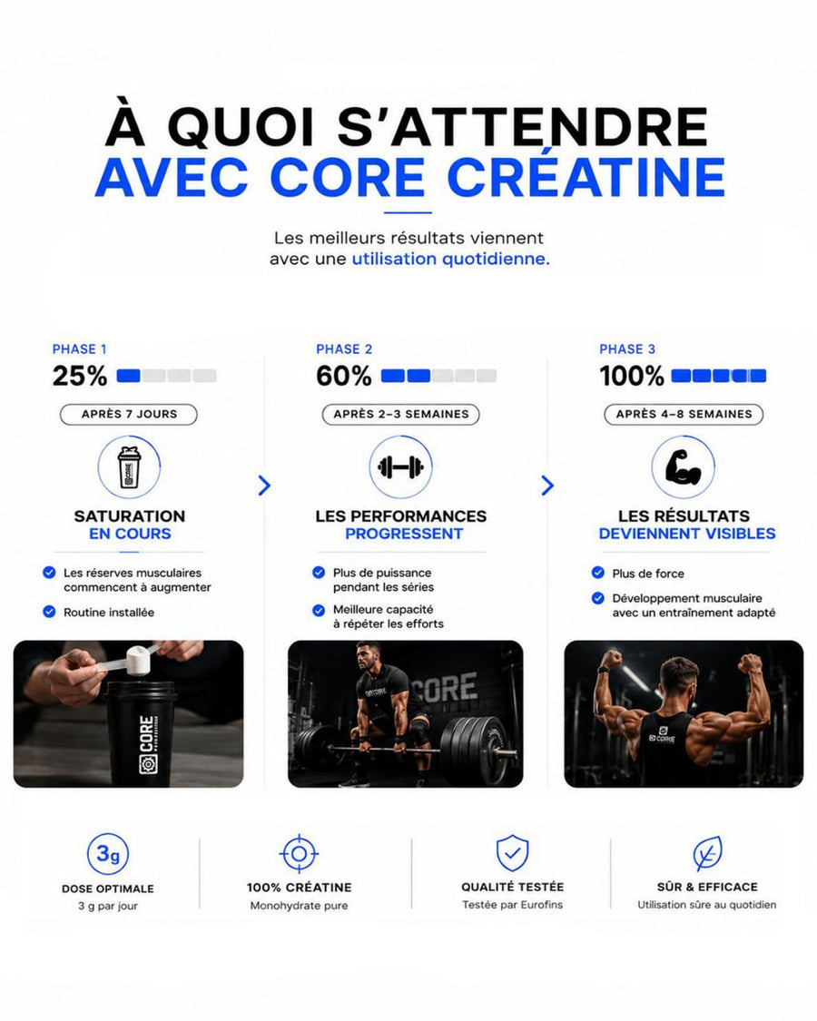 Analyses laboratoire de la créatine Core Nutrition